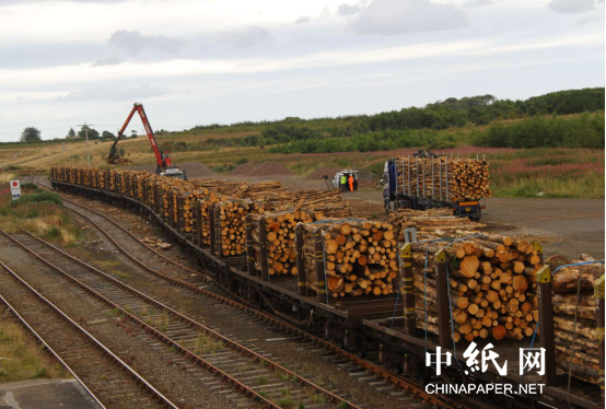 俄罗斯木材行业“回春” 主要市场出口价格上涨 但排除中国(图7)