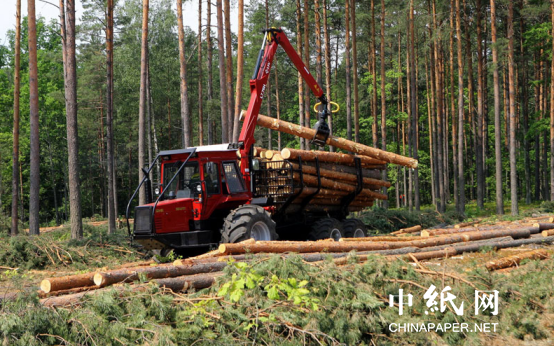 pp电子平台登录白俄罗斯对中国等“新兴”市场木材出口超越传统市场！(图2)