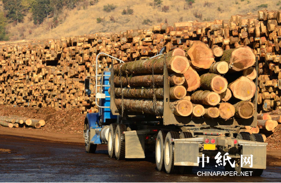 pp电子平台登录白俄罗斯对中国等“新兴”市场木材出口超越传统市场！(图5)