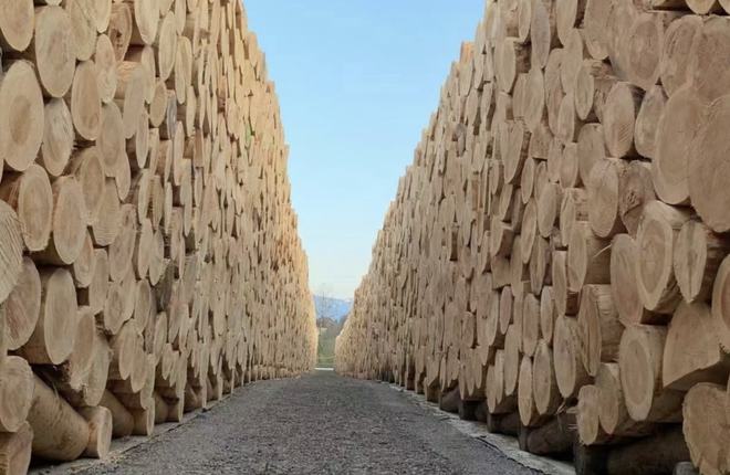 找木材APP集合多个城市木材货源让用户找到“真材实料”！(图2)